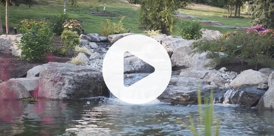 Water feature video
